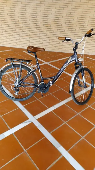 Bicicleta Urbana/paseo Wolfbike Serena
