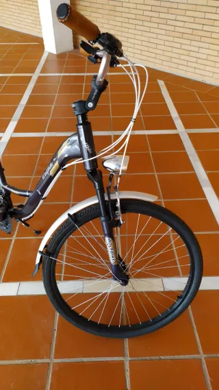 Bicicleta Urbana/paseo Wolfbike Serena