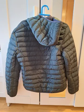 Chaqueta Lacoste verde