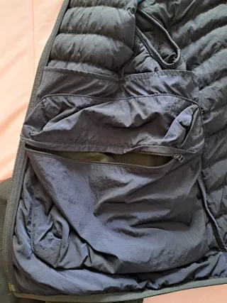 Chaqueta Lacoste verde