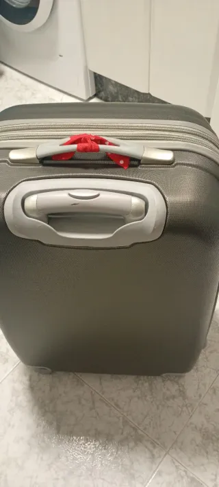 Maleta gris Alexander con ruedas