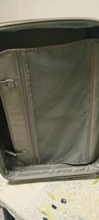 Maleta gris Alexander con ruedas