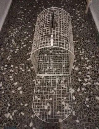 Transportín blanco para mascotas