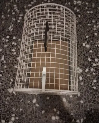 Transportín blanco para mascotas