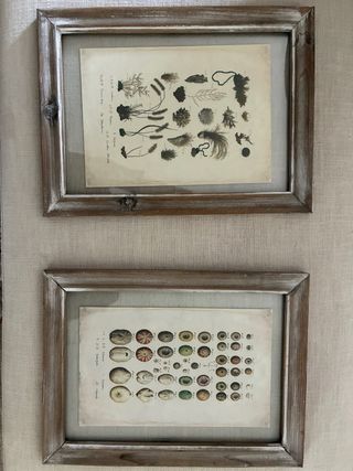 Cuadro botánico antiguo