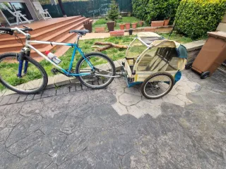 Remolque aluminio para niños