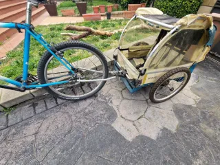 Remolque aluminio para niños