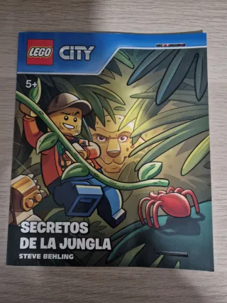 2 libros Playmobil y Lego