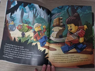 2 libros Playmobil y Lego