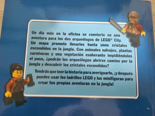 2 libros Playmobil y Lego