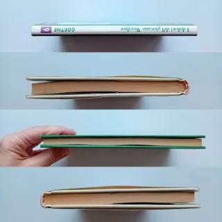 I dolori del giovane Werther di Goethe