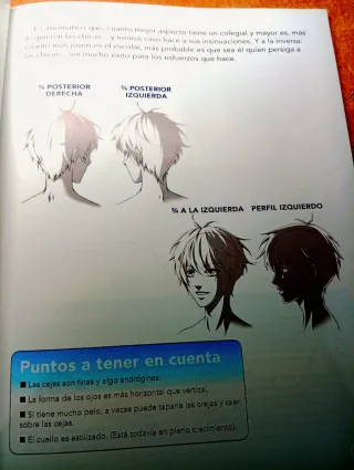 Guía maestra para dibujar Anime.
