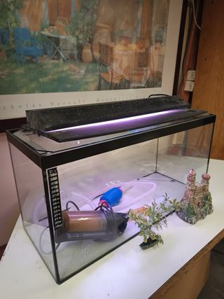 Pecera mediana (40L) con accesorios