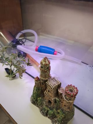 Pecera mediana (40L) con accesorios