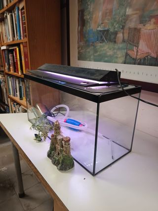 Pecera mediana (40L) con accesorios