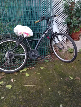 Bicicleta Romester para adultos,