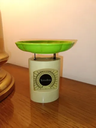 Bilancia da cucina Terraillon beige/verde