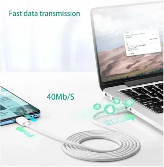 2 Cables USB C Blancos