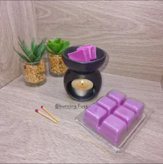 Ambientador pastillas para quemador