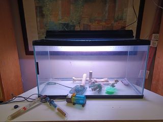 Pecera grande (100l)