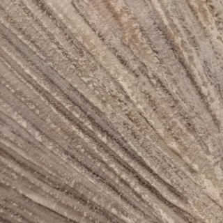 Cuadro La Maison du monde Beige y Marrón