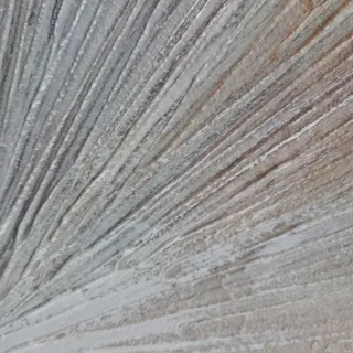 Cuadro La Maison du monde Beige y Marrón