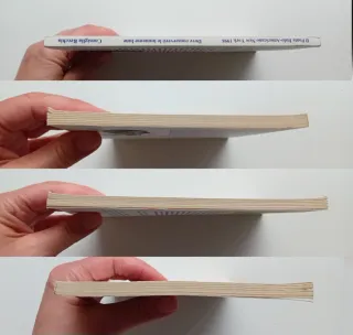 Dove conserverò le immense lune,Consiglia Recchia