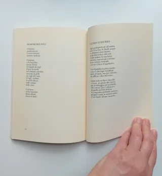 Dove conserverò le immense lune,Consiglia Recchia