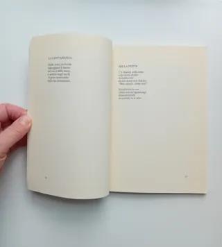 Dove conserverò le immense lune,Consiglia Recchia