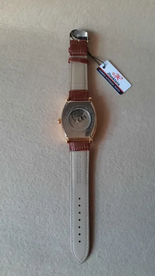 Orologio Jinskin Automatico Uomo Oro Marrone