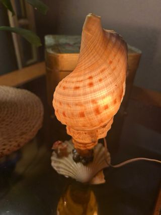 Lámpara Caracola Vintage Funcionando