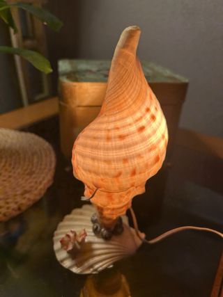 Lámpara Caracola Vintage Funcionando