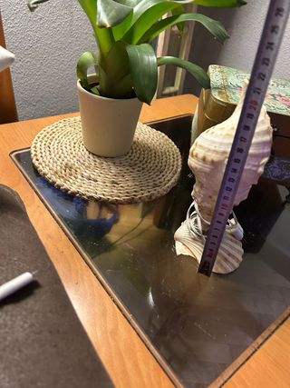 Lámpara Caracola Vintage Funcionando