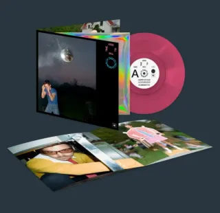 Vinilo Harry Styles Kiss All The Time Ed. Limitada