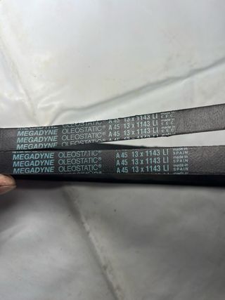 Correas MEGADYNE Oleostatic A 45 13x1143 LI