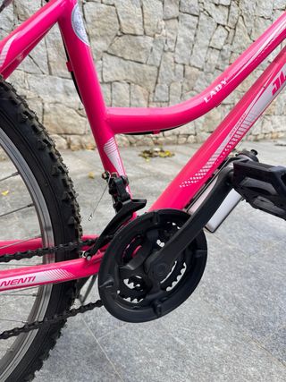 Bicicleta MTB JL-Wenti Lady 26"