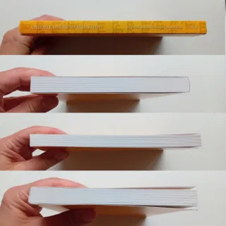 Andare oltre Vaikuņṭha,AVGV