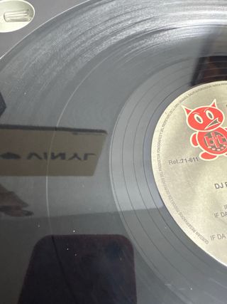 DJ Paul & Teenage Warning - If da kids (( dani ))