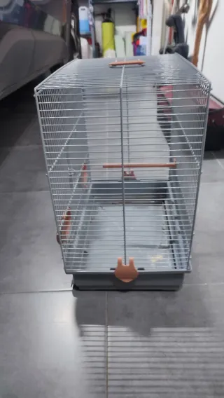 Jaula para pájaros azul y naranja