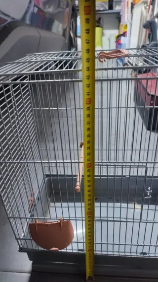 Jaula para pájaros azul y naranja