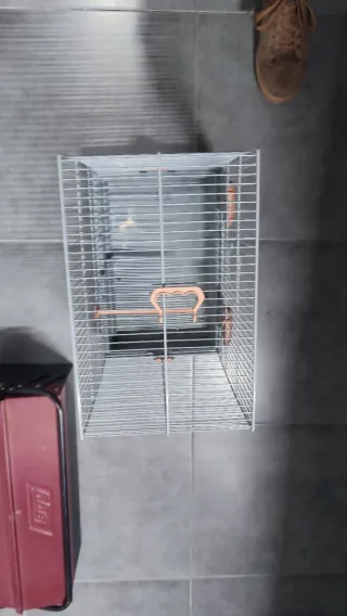 Jaula para pájaros azul y naranja