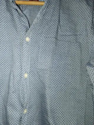 Camisa Springfield Topos en tonos azules