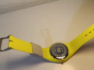 Ice Watch Gris y Verde