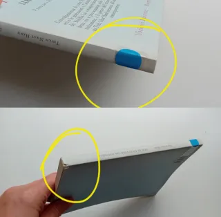 Perché un futuro sia possibile di Thich Nhat Hanh