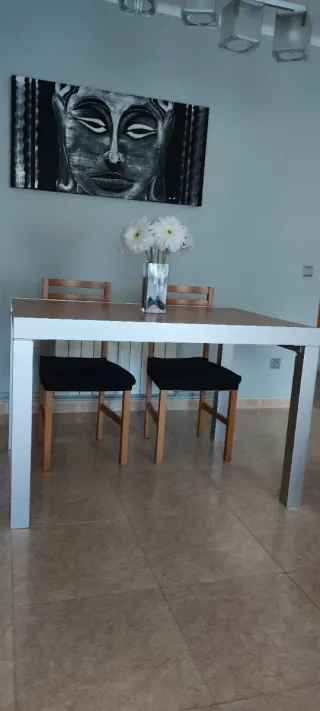 Comedor, mesa y6 sillas