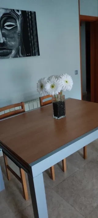 Comedor, mesa y6 sillas