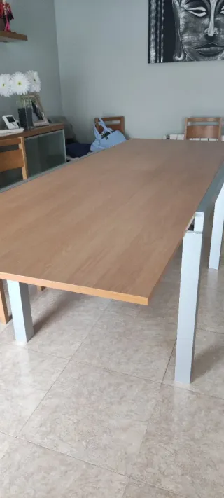 Comedor, mesa y6 sillas