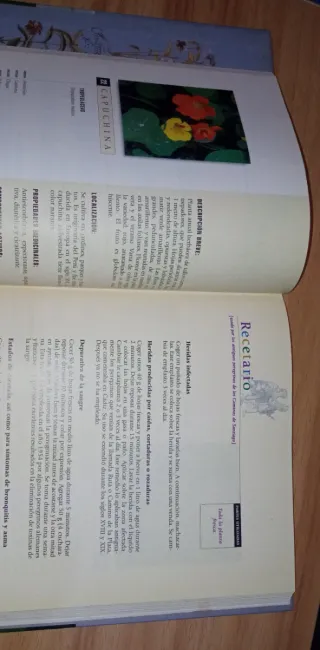 PLANTAS Y REMEDIOS NATURALES DE LOS CAMI