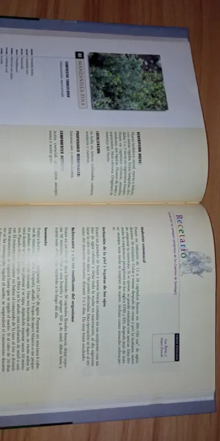 PLANTAS Y REMEDIOS NATURALES DE LOS CAMI