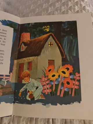 Cuentos infantiles en francés